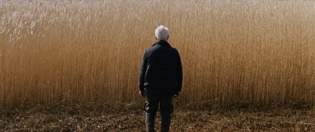 photo reedland_cahhiers du cinéma