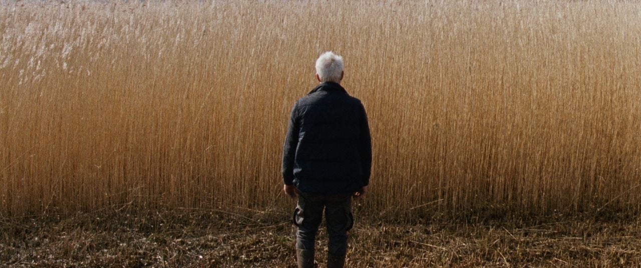 photo reedland_cahhiers du cinéma